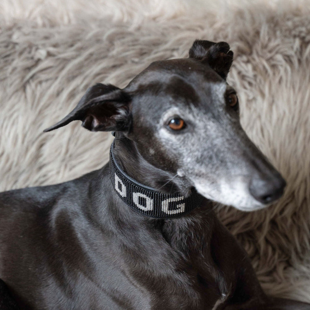 LOVEDOG DOG Collar Black Bead Silver Letters - Wide