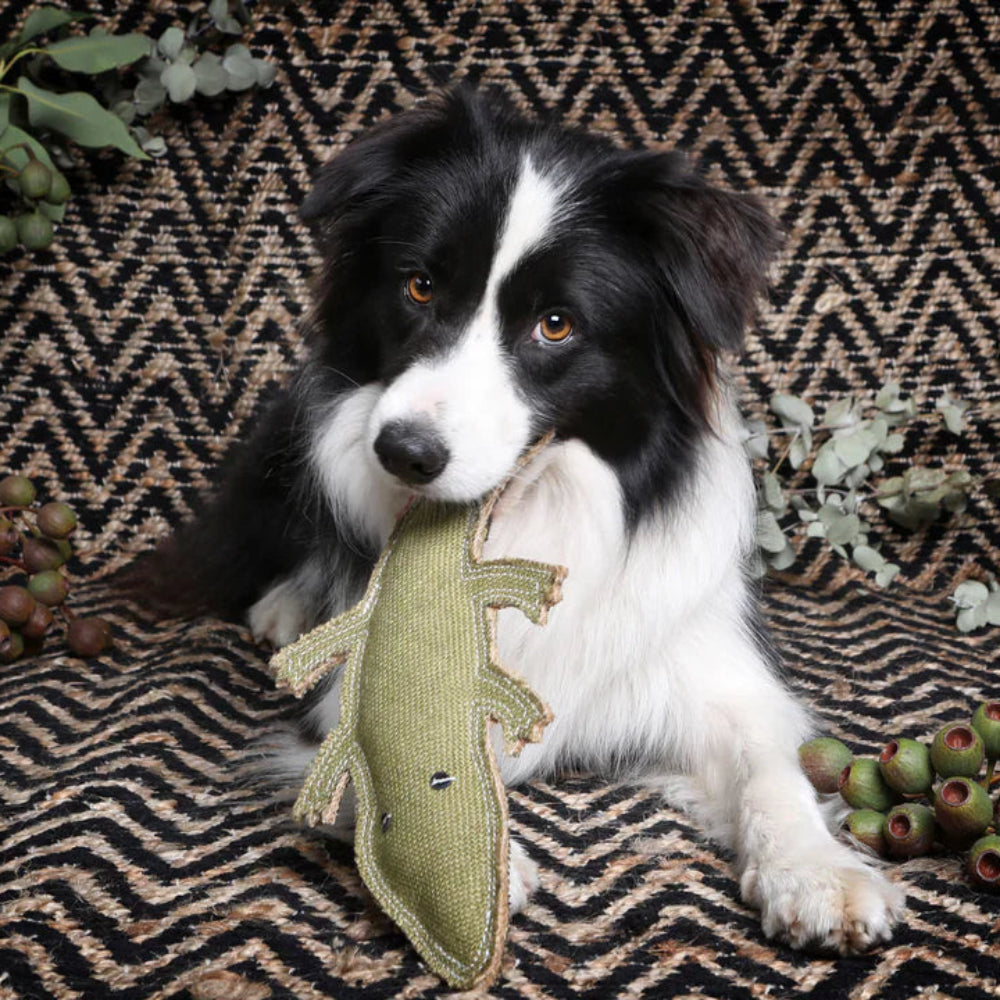 COREY The Croc