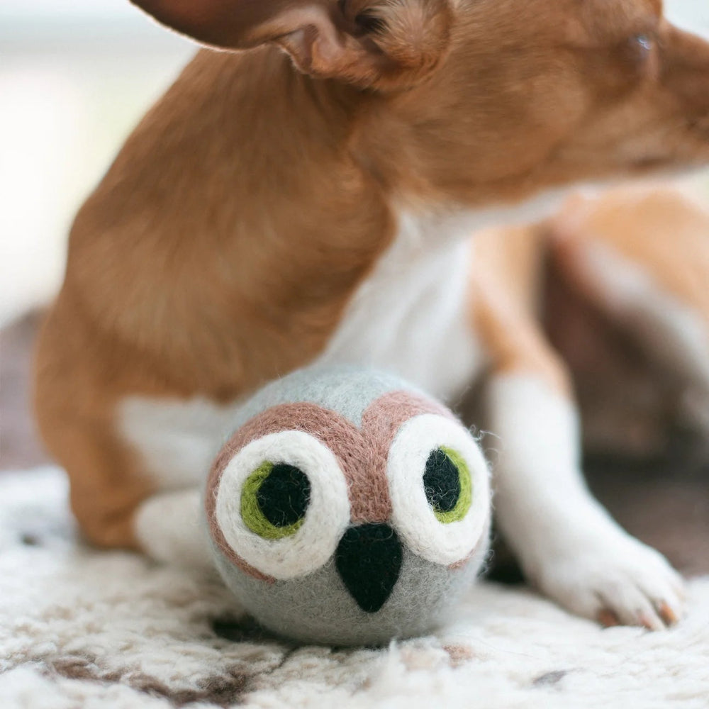 OWL WOOL BALL