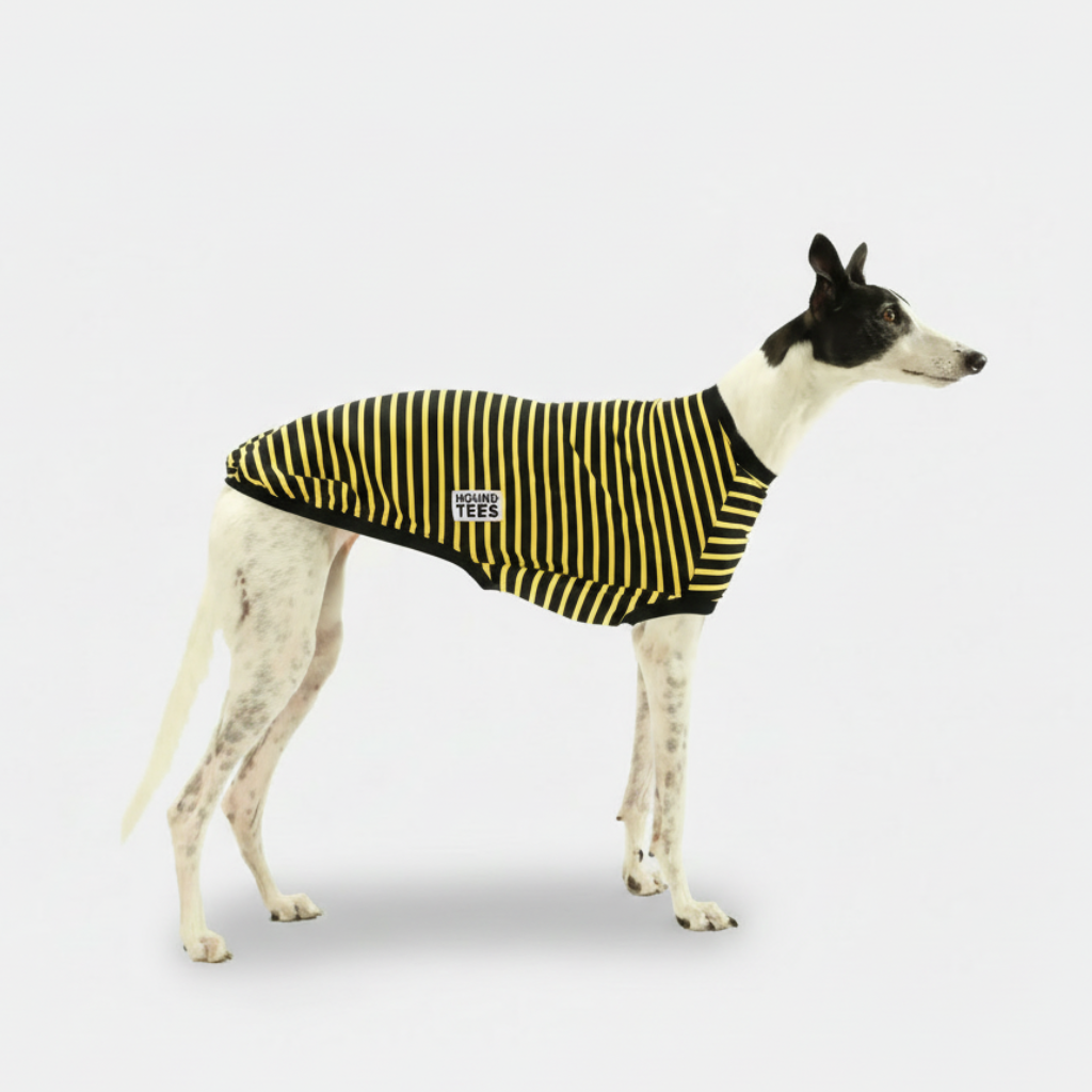 HONET BEE TEE - Greyhound