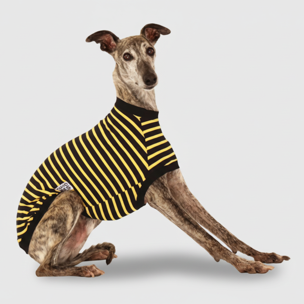HONEY BEE TEE - Whippet