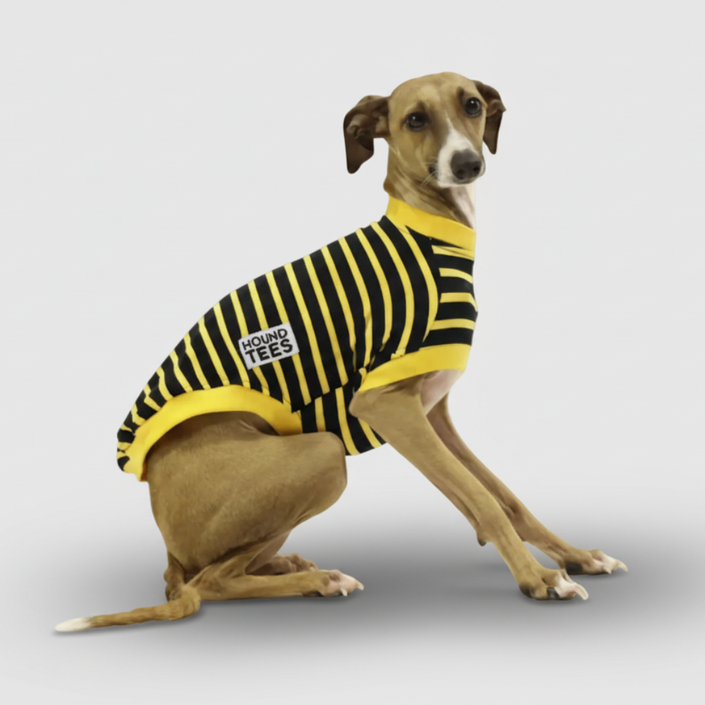 HONEY BEE TEE - Iggy
