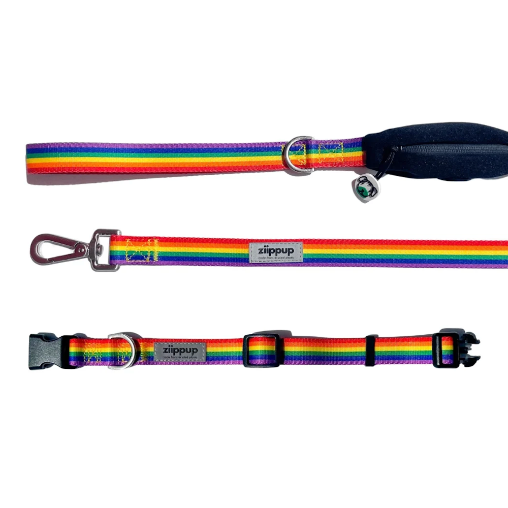 RAINBOW DOG Recycled Collar