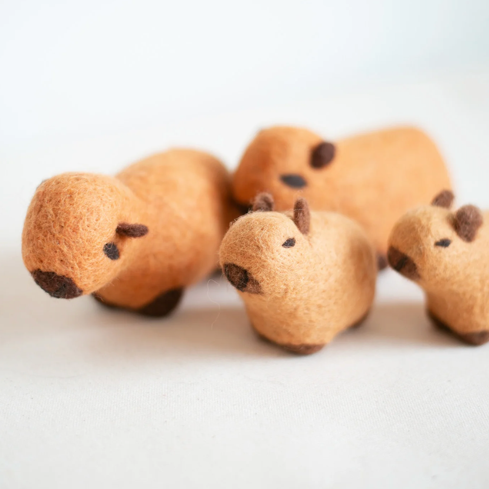 WOOL CAPYBARA