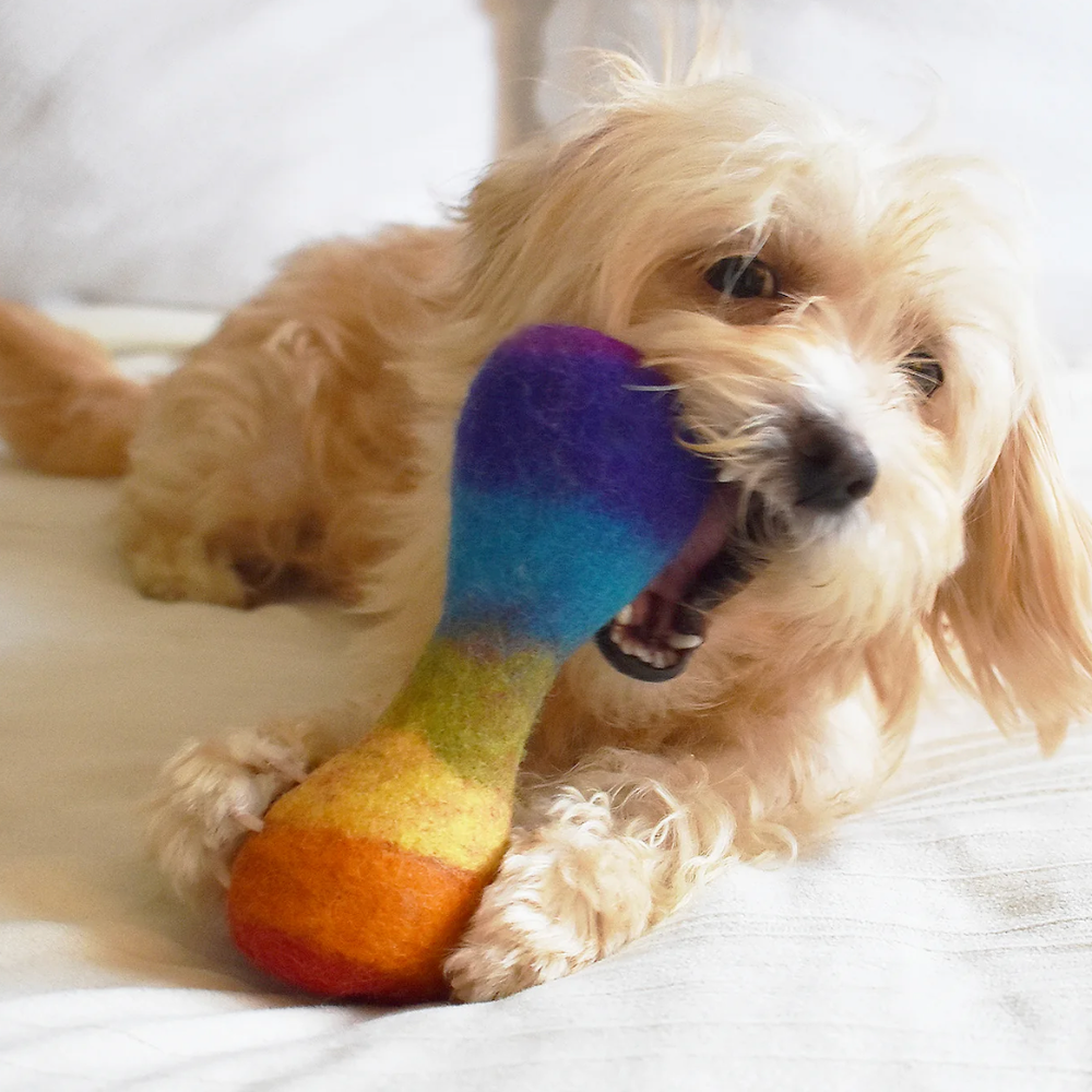 RAINBOW WOOL BONE - Large