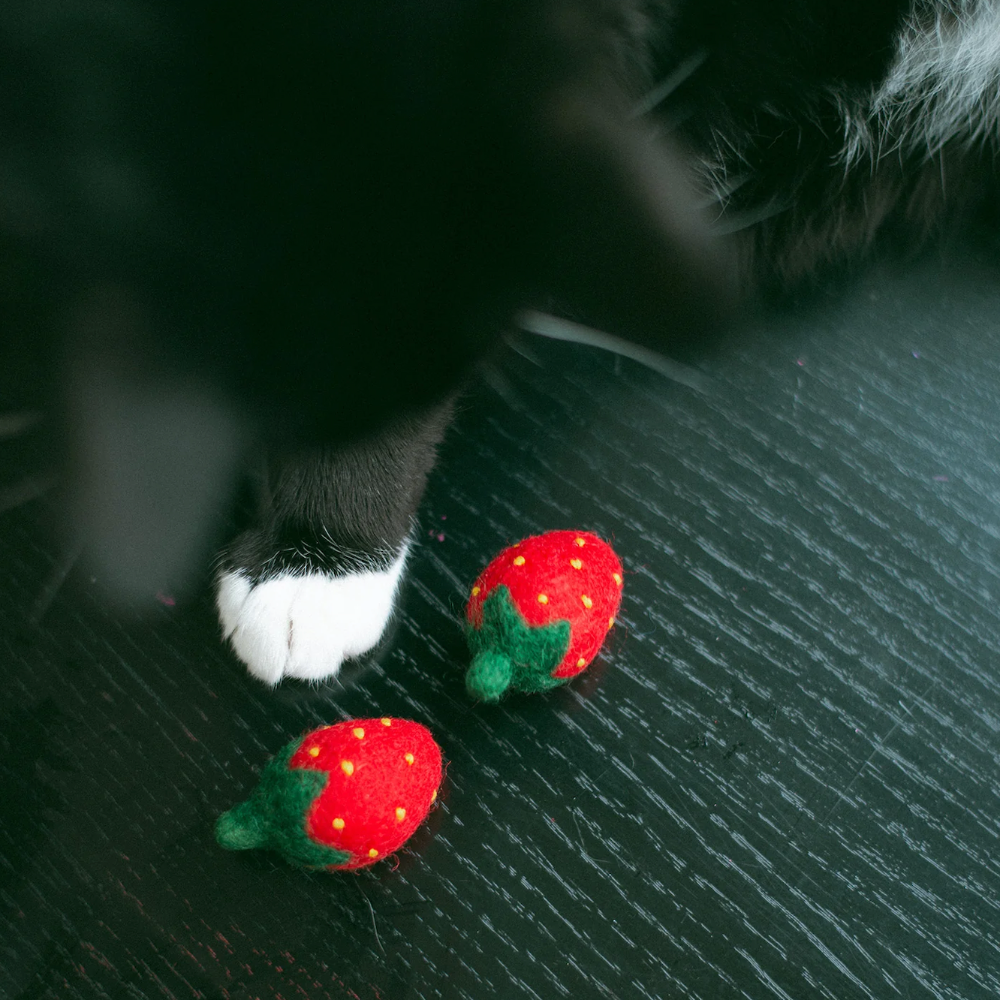 KITTY STRAWBERRIES