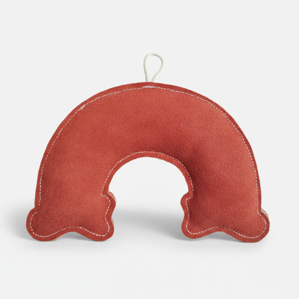 RAINBOW Eco Leather Dog Toy