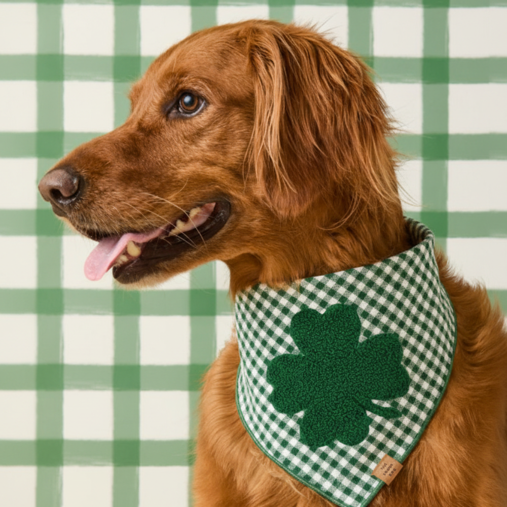 CLOVER Dog Bandana