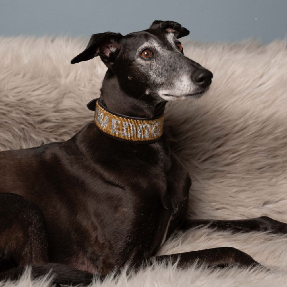 LOVEDOG Gold & Silver Collar - Wide