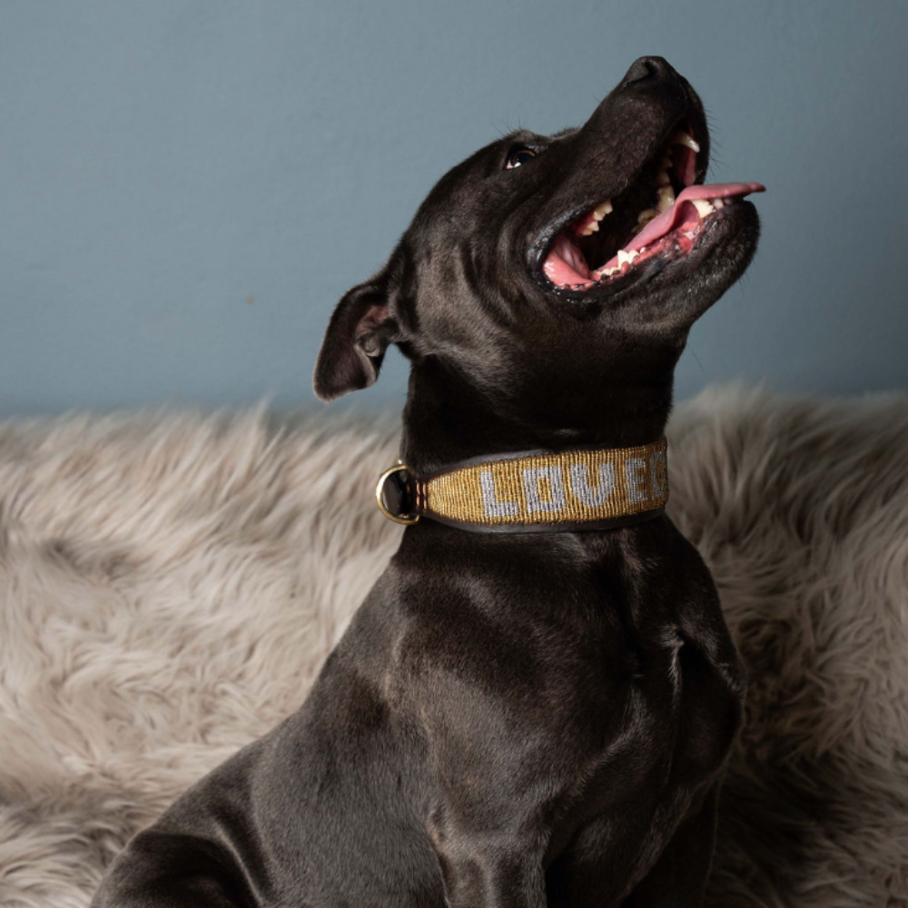 LOVEDOG Gold & Silver Collar - Wide