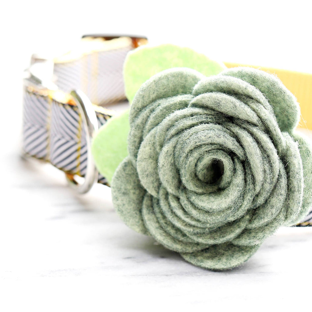 Dog Collar Rose Flower