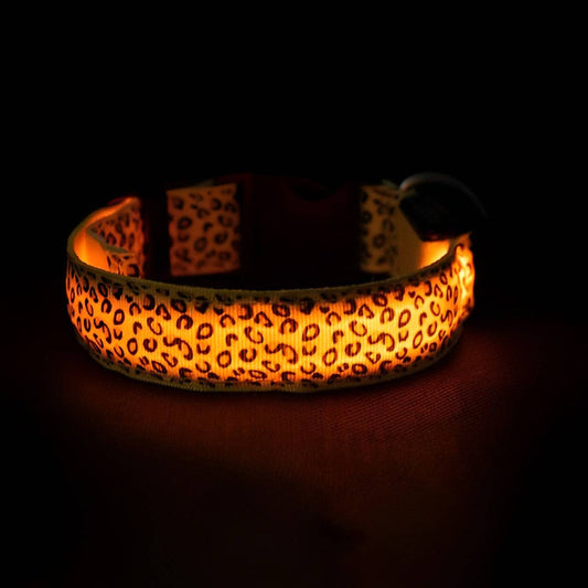 LED Dog Collar: Orange / S