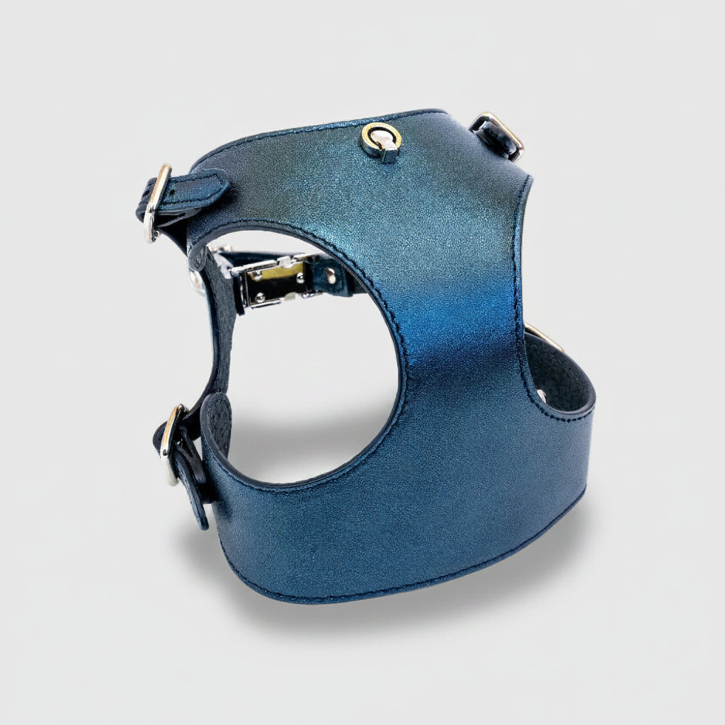 HANDMADE LEATHER SET - Blue