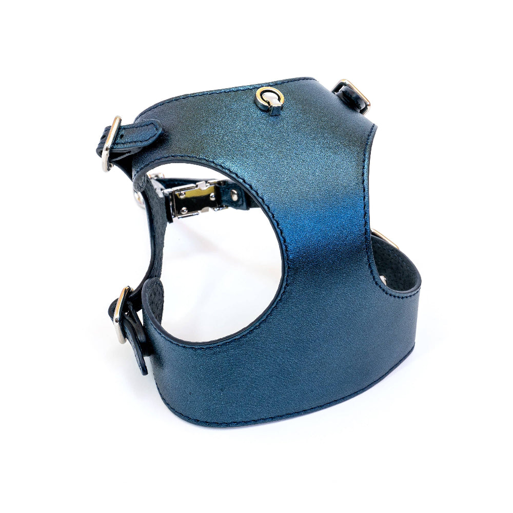 HANDMADE LEATHER SET - Blue