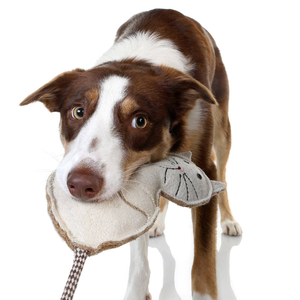 CAT Chew Toy