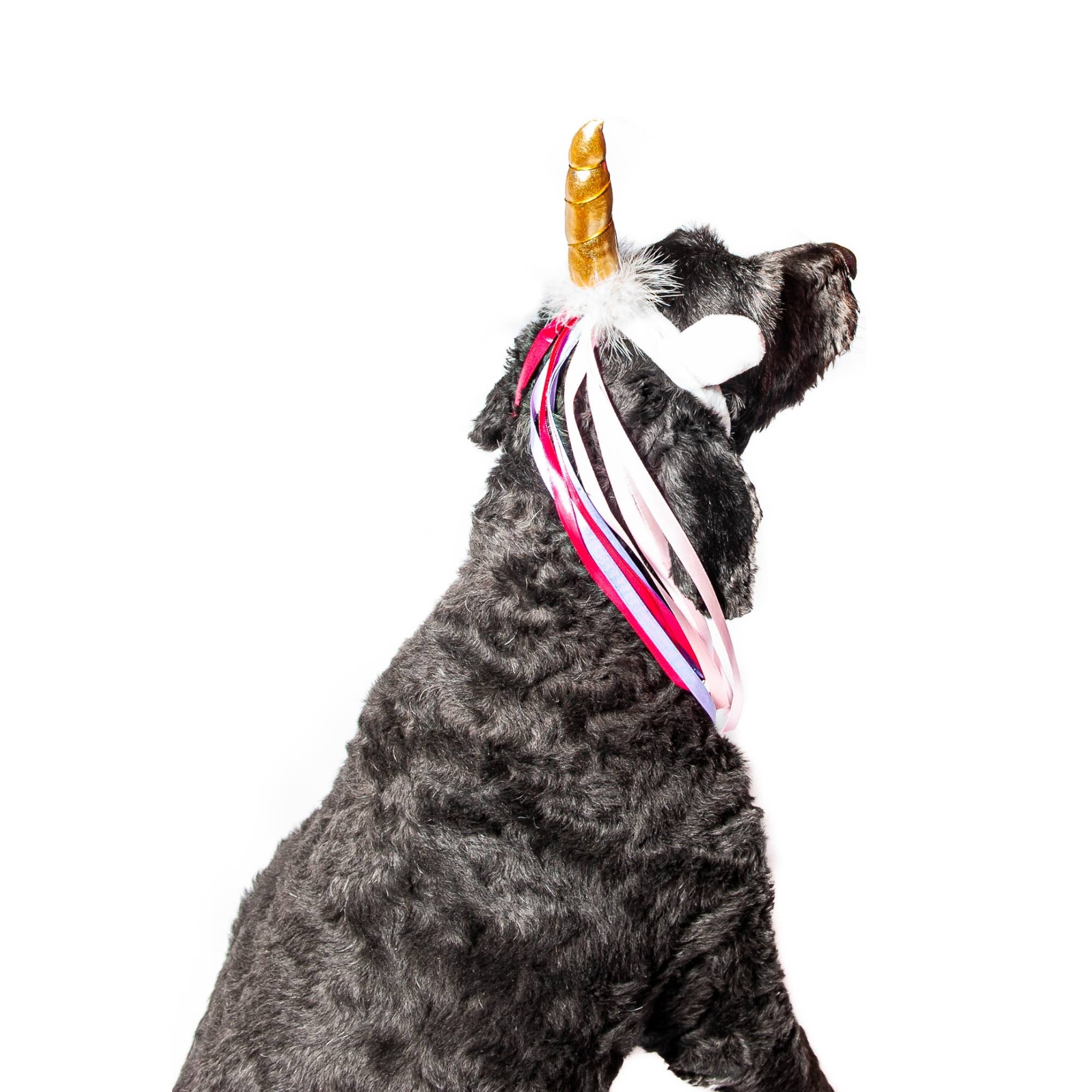 Midlee Dog Unicorn Headband Halloween Costume