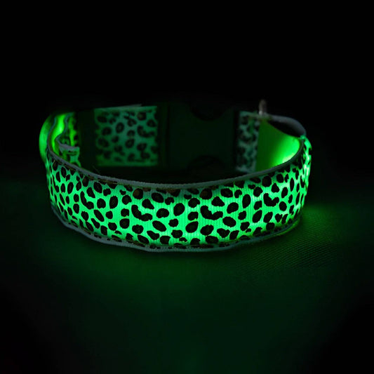 LED Dog Collar: Green / M