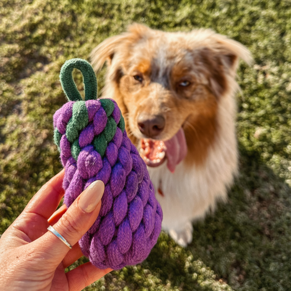 EGGPLANT Rope Toy