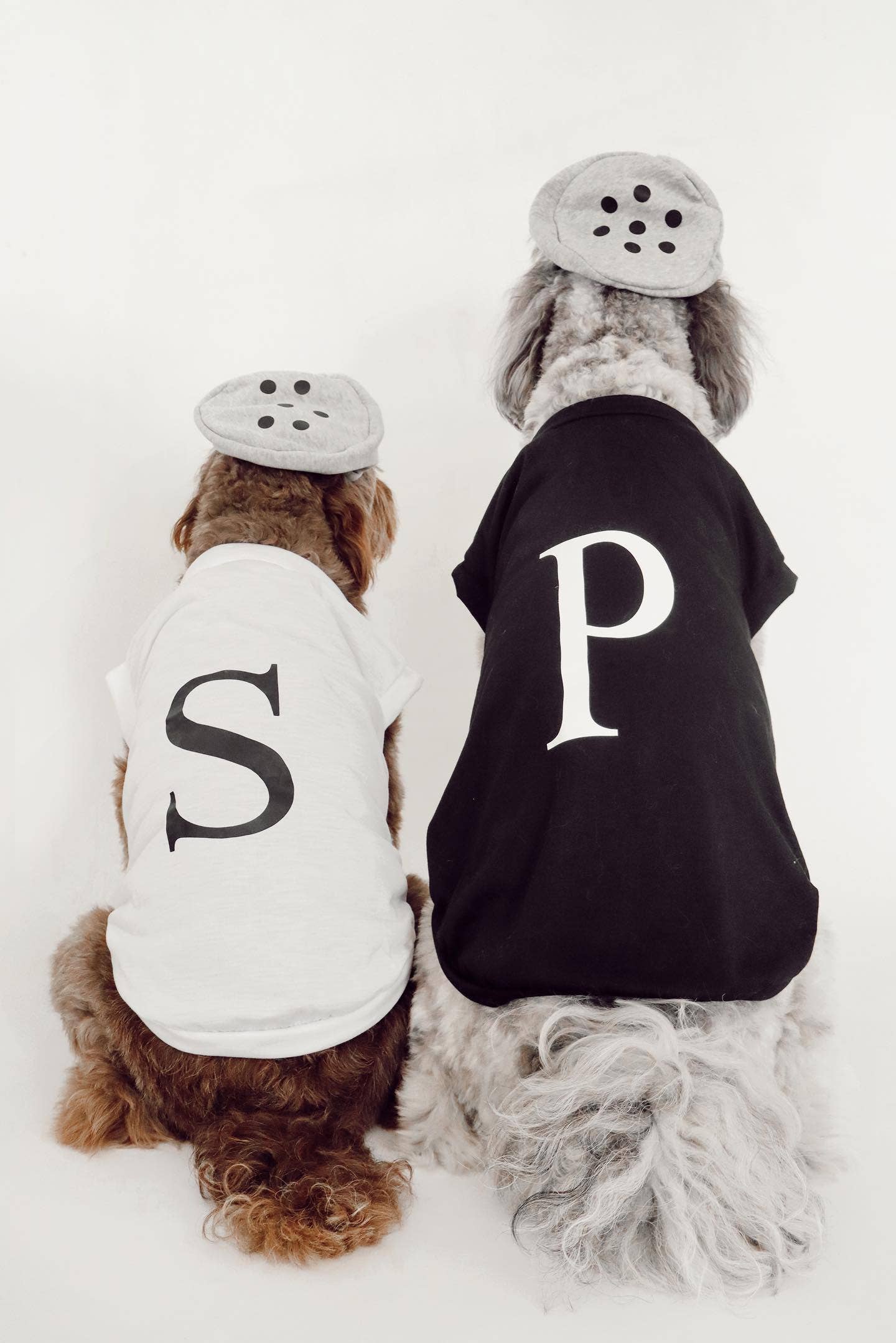 Midlee Salt & Pepper Dog Costume: Large - 15" / Pepper