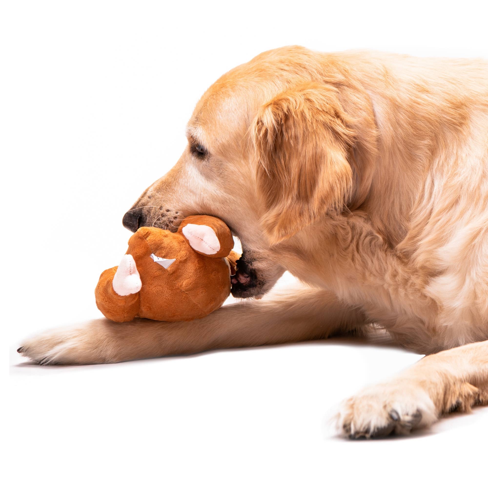 Midlee Roasted Thanksgiving Turkey Plush Dog Toy: Small