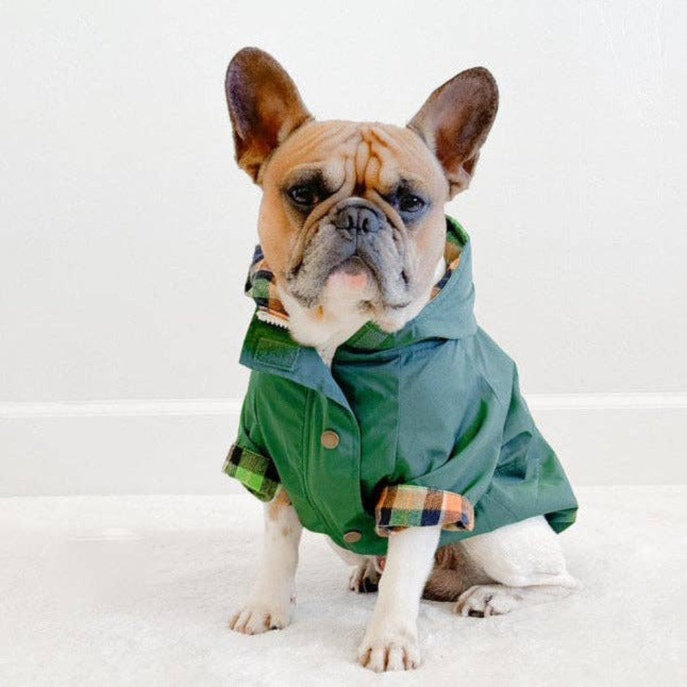 RAIN JACKET - Forest Green