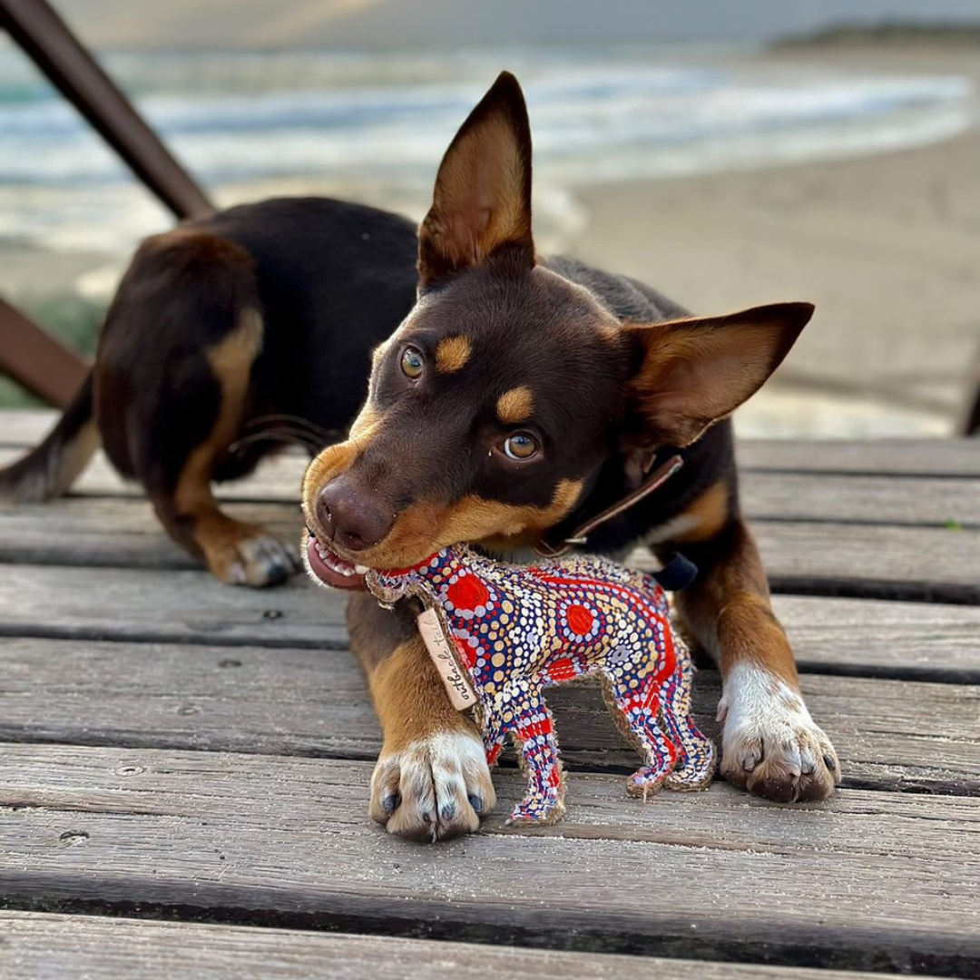 Desert Dog Chew Toy - Trevor