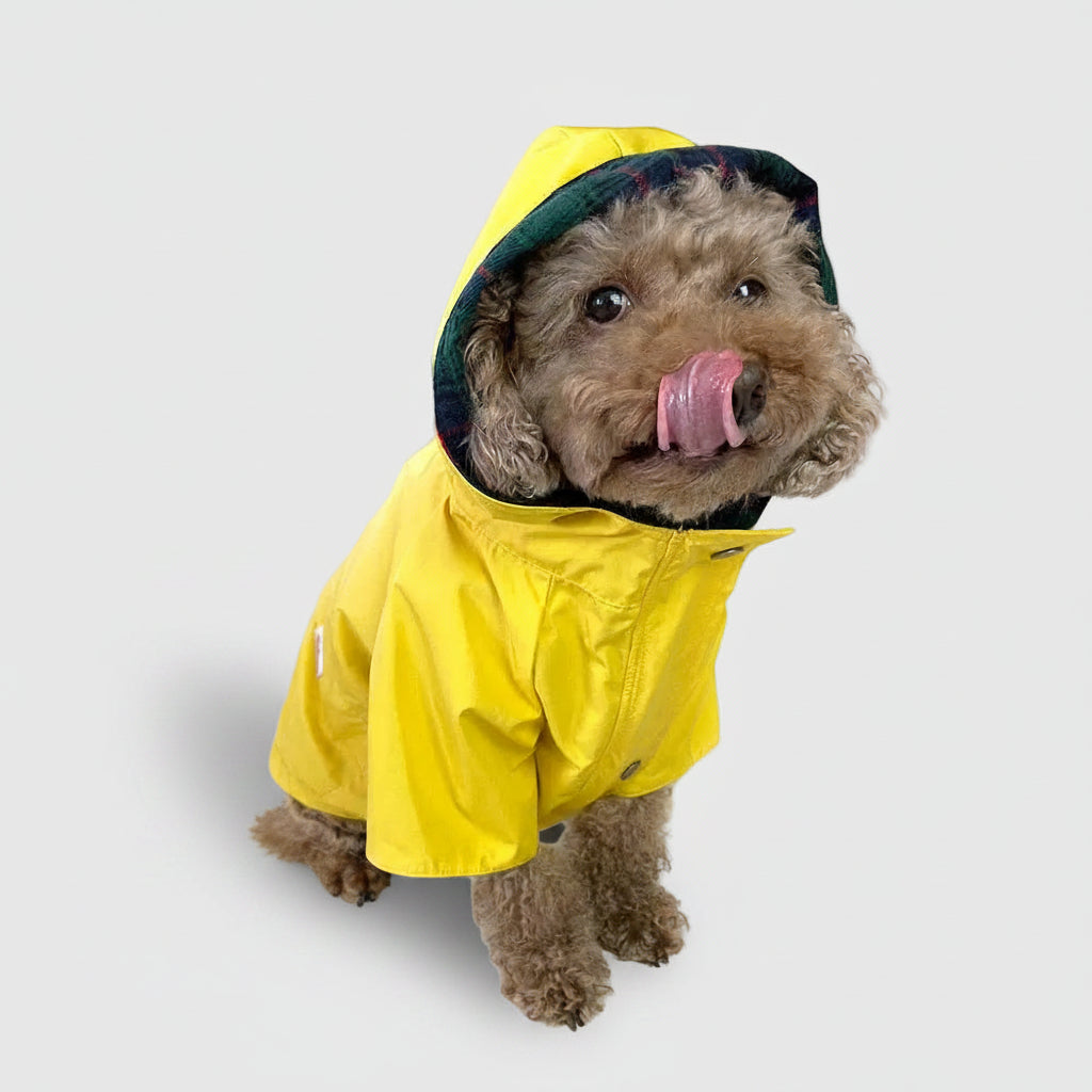 RAIN JACKET - Sunshine Yellow