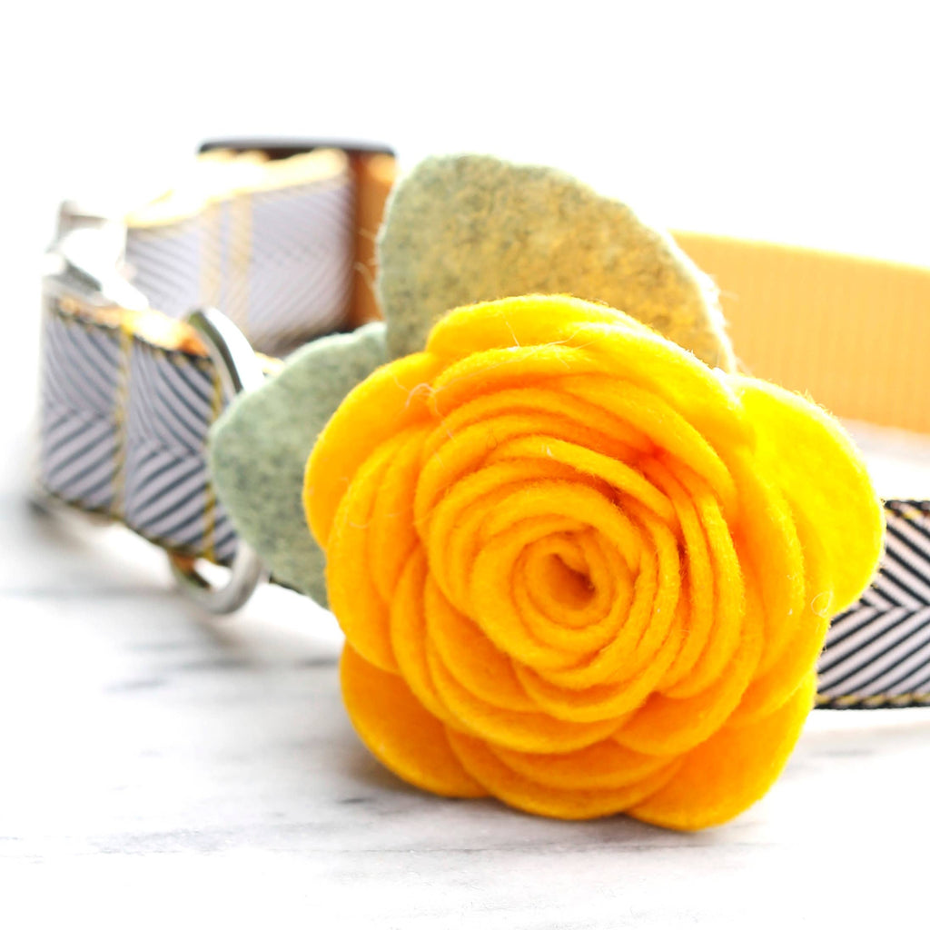 Dog Collar Rose Flower