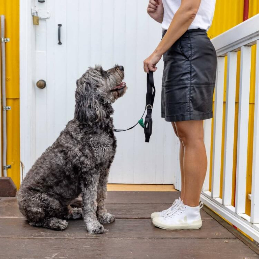 BLACK DOG Leash with Built-in Poop Bag Holder