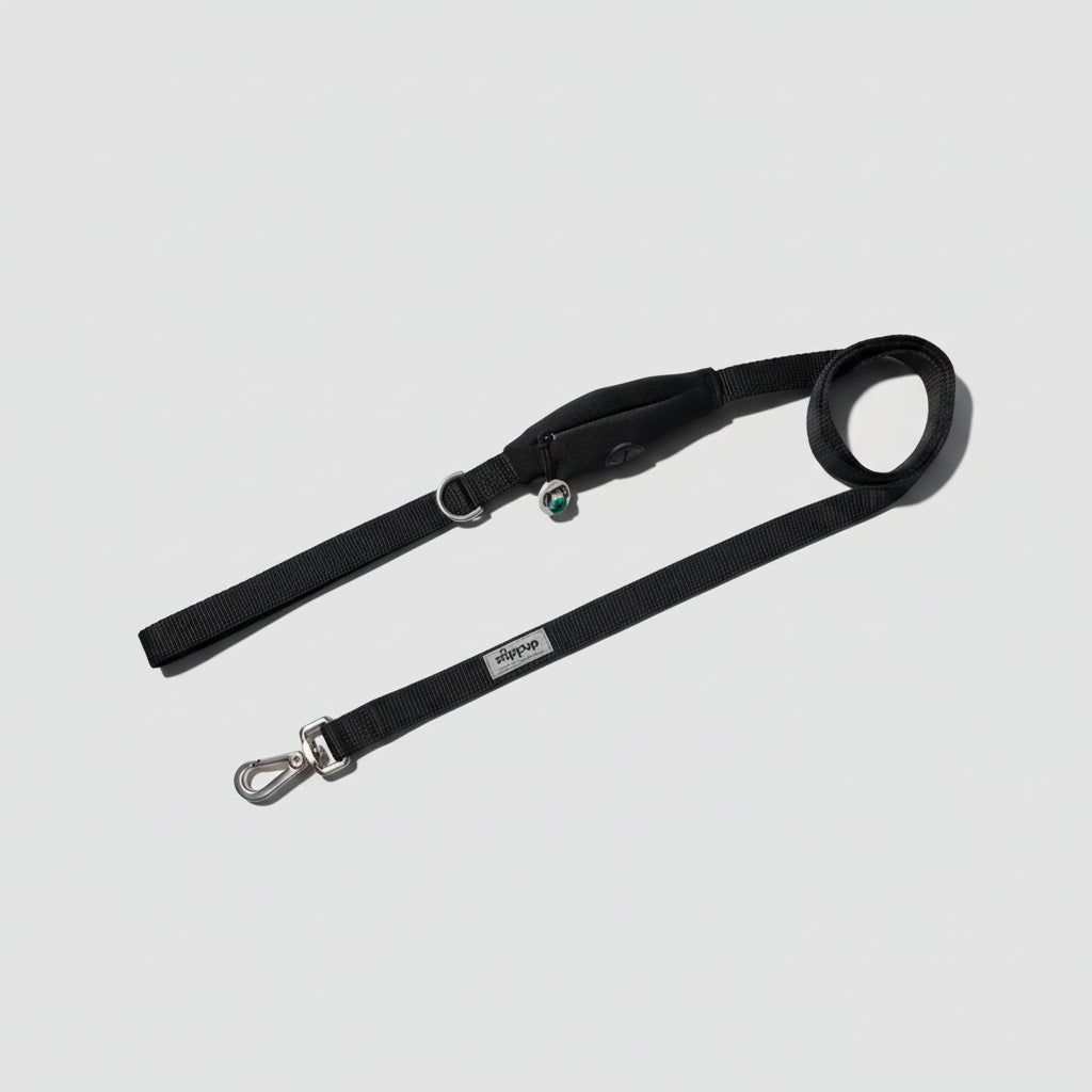 BLACK DOG Leash with Built-in Poop Bag Holder