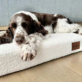 LOVEDOG Boucle PlushMat