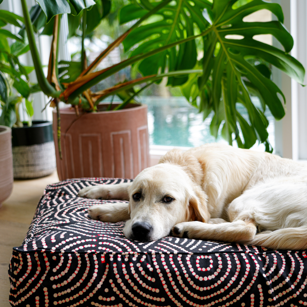 LOVEDOG Rectangular Therapeutic Dog Bed