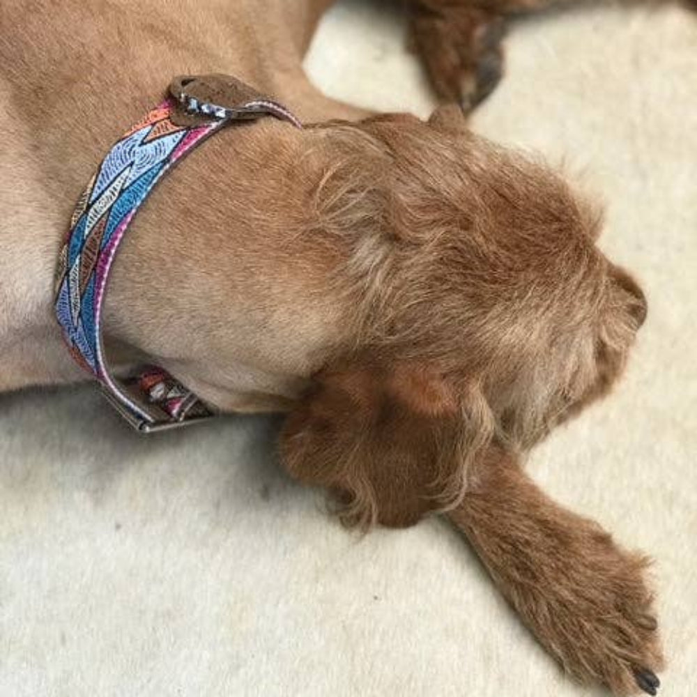 SAND DUNES Leather Dog Collar