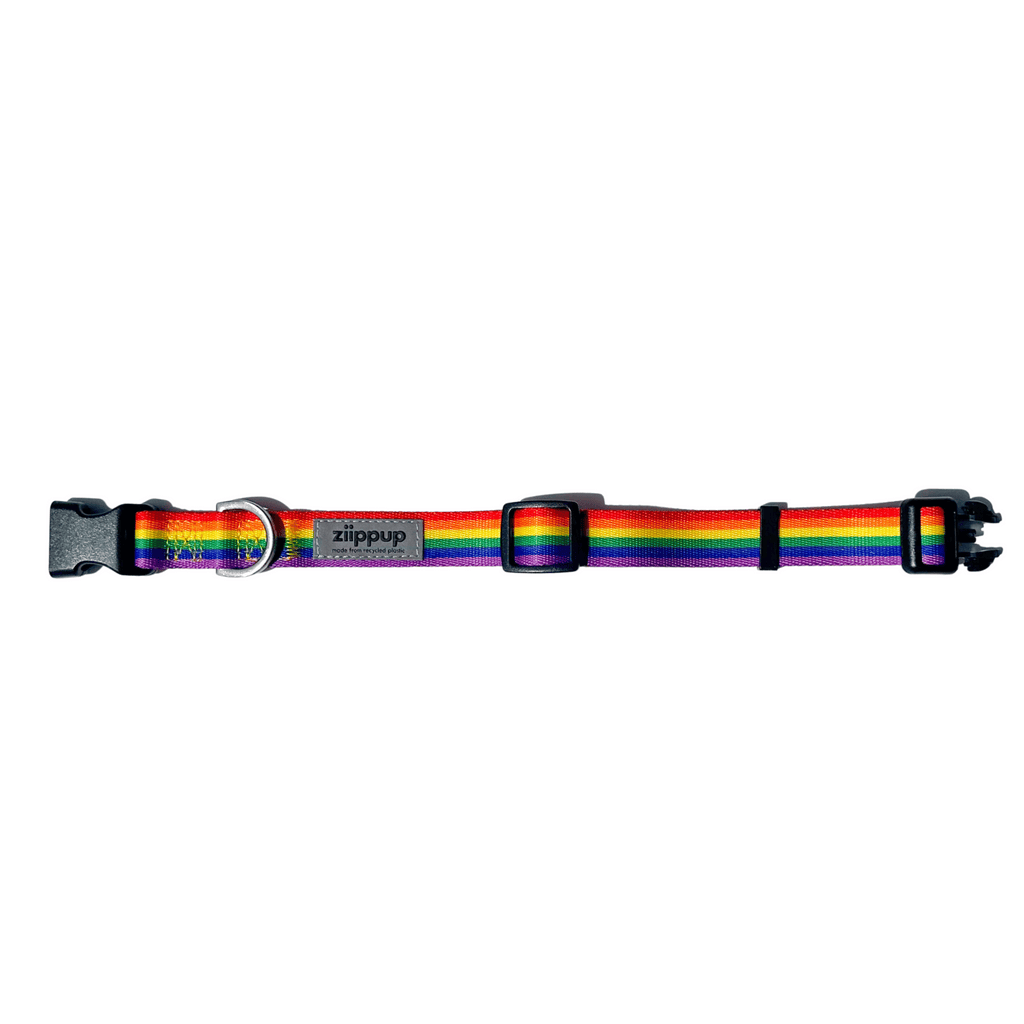 Rainbow Recycled Dog Collar: Medium