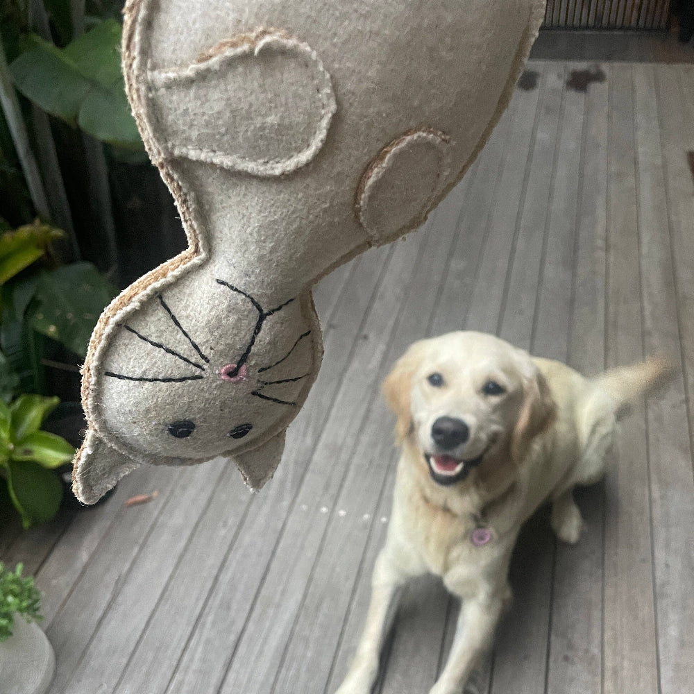 CAT Chew Toy