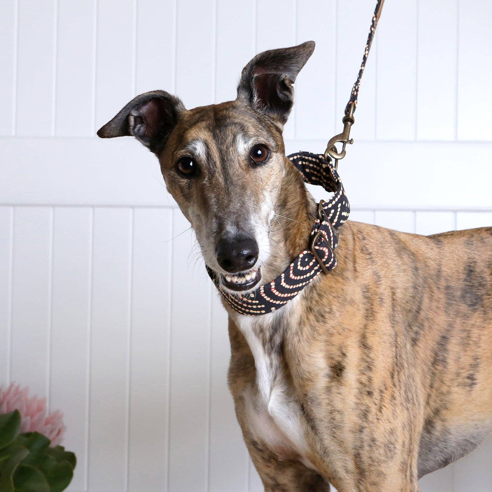 MARTINGALE Collar - Fire Country Dreaming