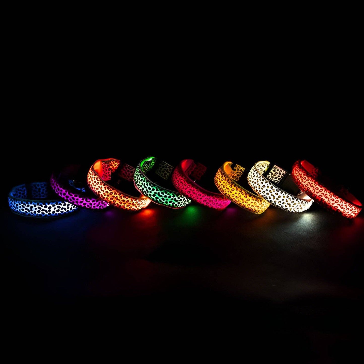 LED Dog Collar: Orange / S