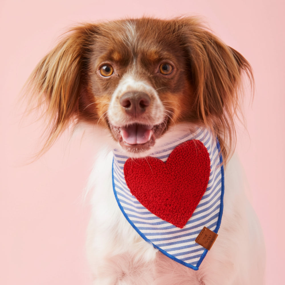 HEART Dog Bandana