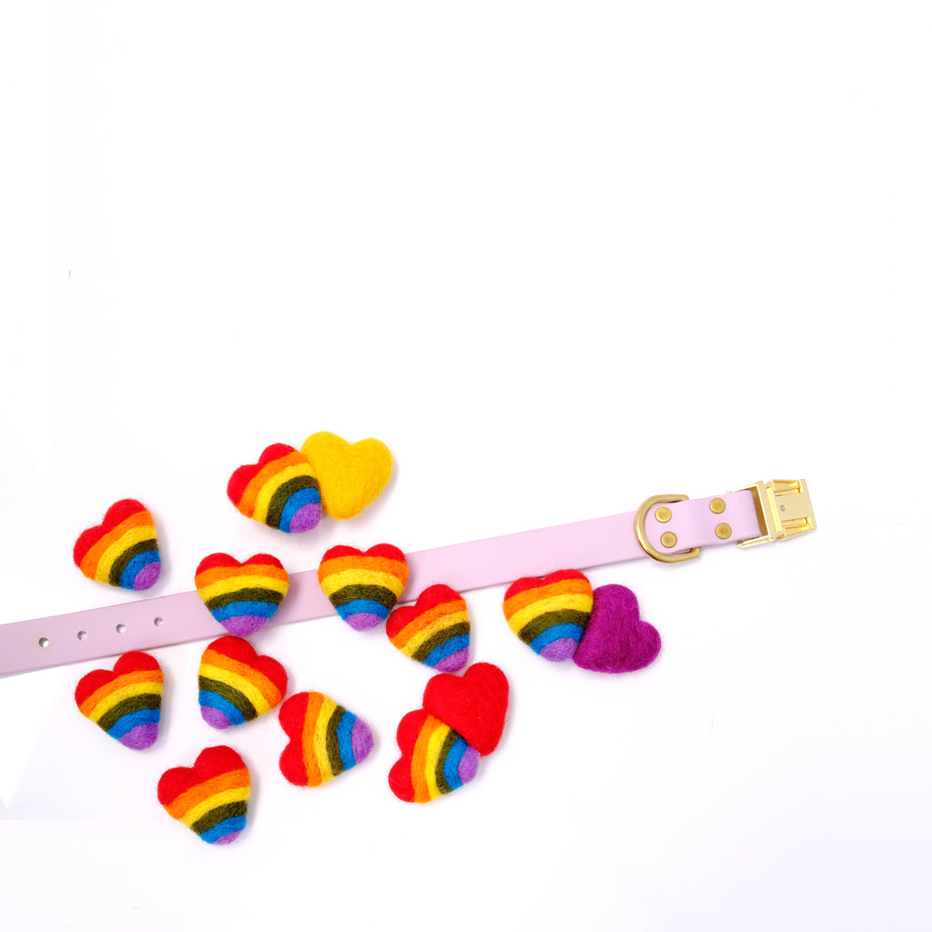 Rainbow Hearts Pride Dog Collar Accessory