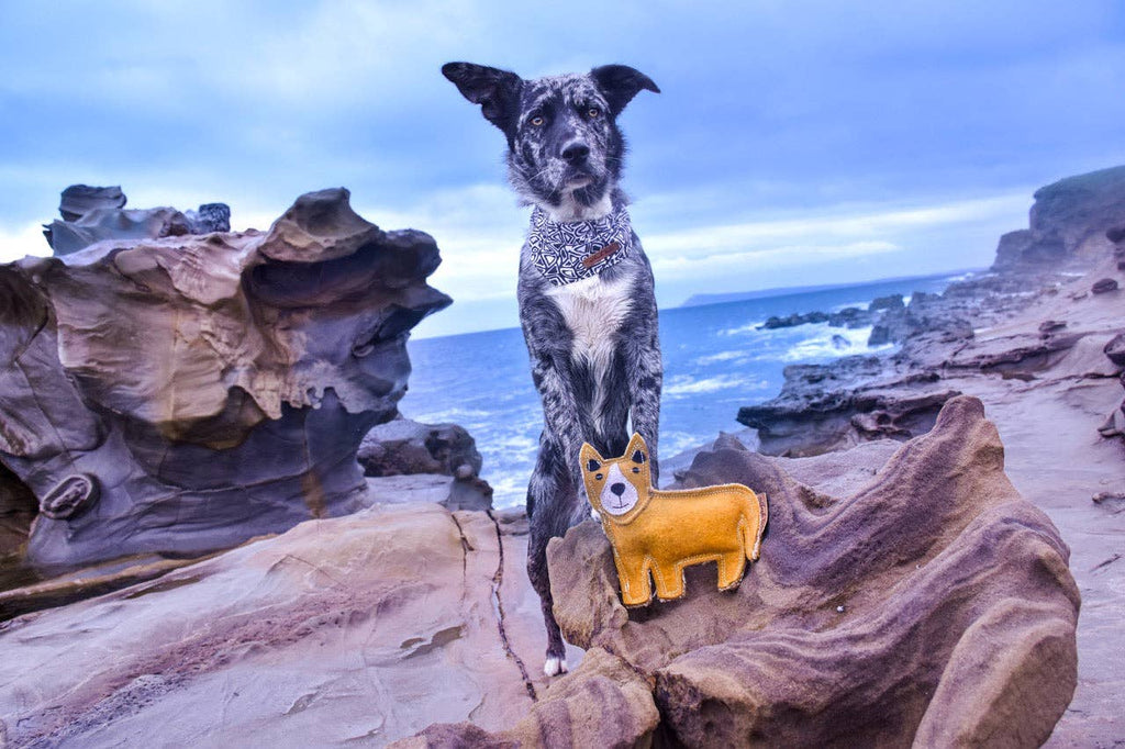 Outback Felt Toy - Darren The Dingo