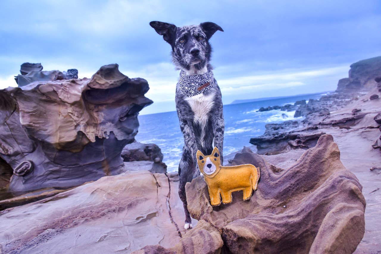 Outback Felt Toy - Darren The Dingo