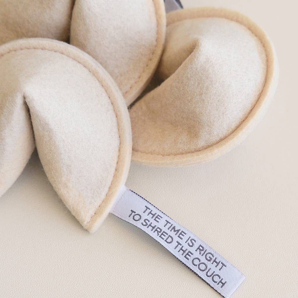 KITTY FORTUNE COOKIE (Options Available): Blame It on the Dog