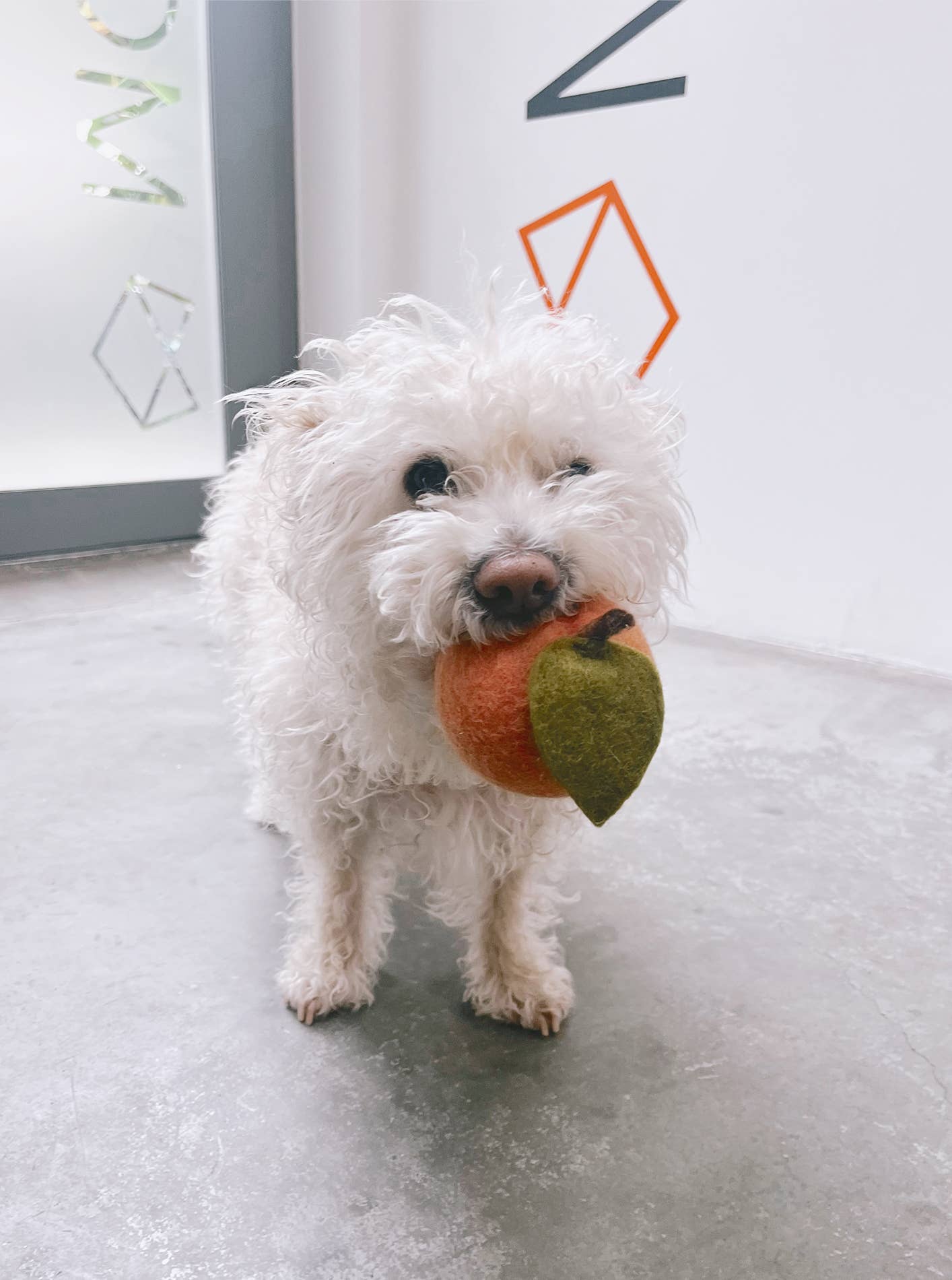 DOGGY PEACH