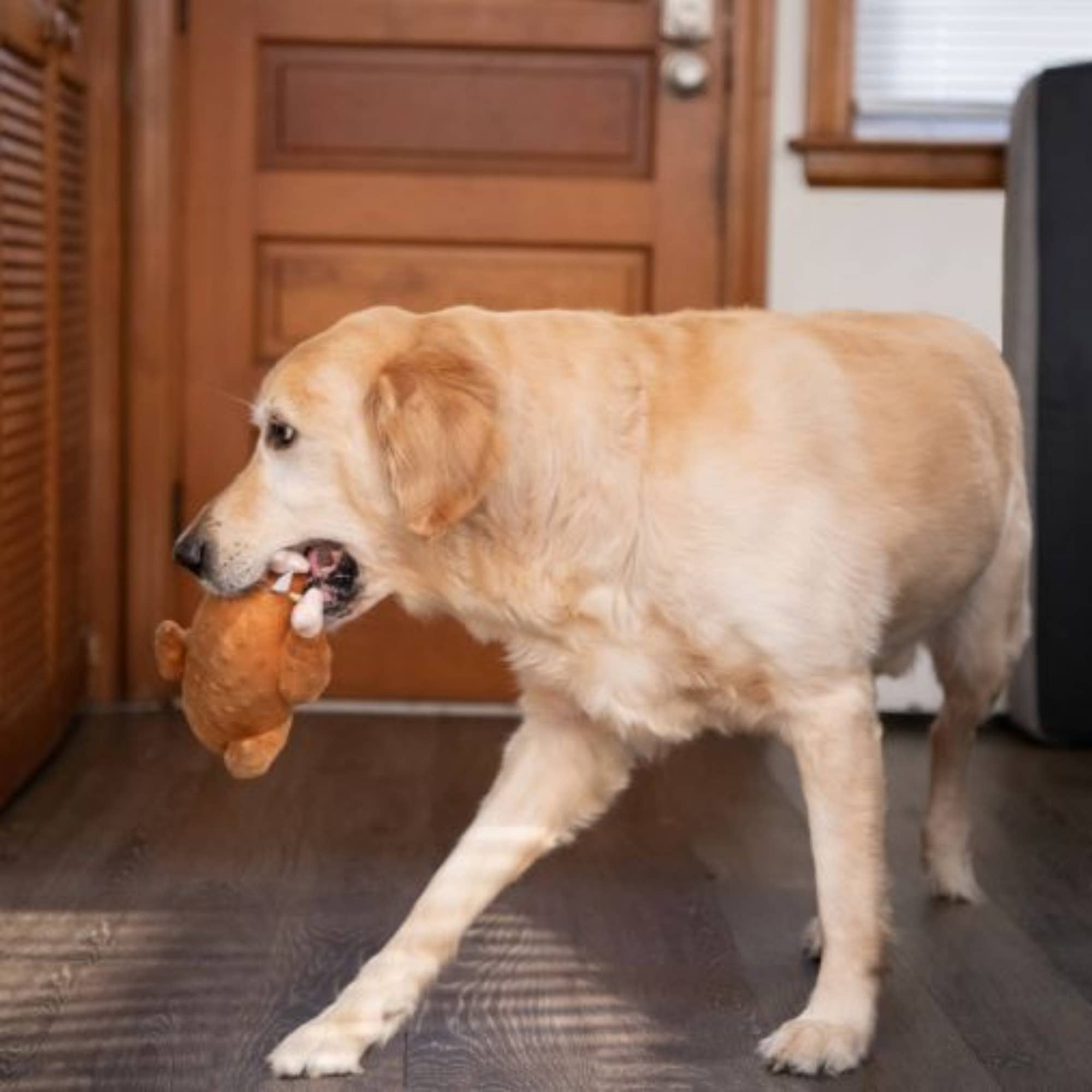 Midlee Roasted Thanksgiving Turkey Plush Dog Toy: Small