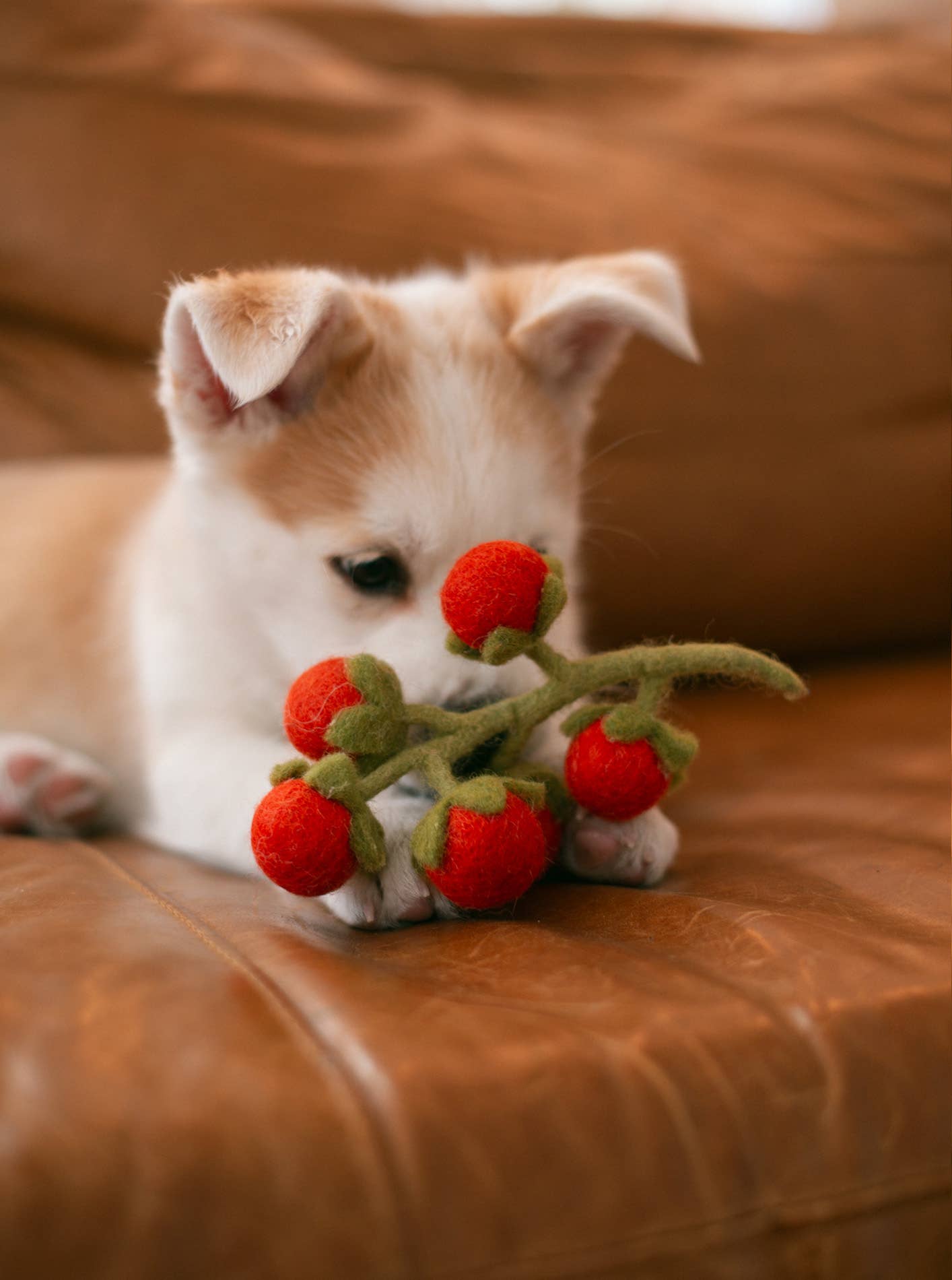 CHERRY TOMATO VINE Wool Dog & Cat Toy