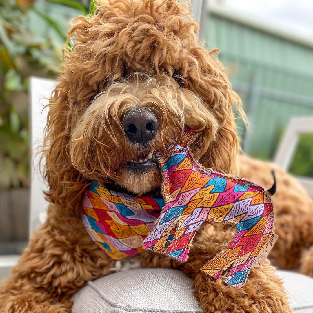 Desert Dog Chew Toy - Ben