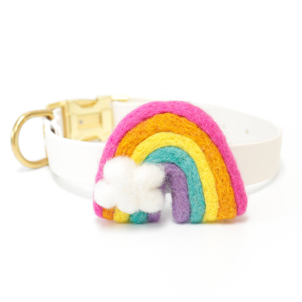 Rainbow Dog Collar Accessory (4 Colors) - Pride