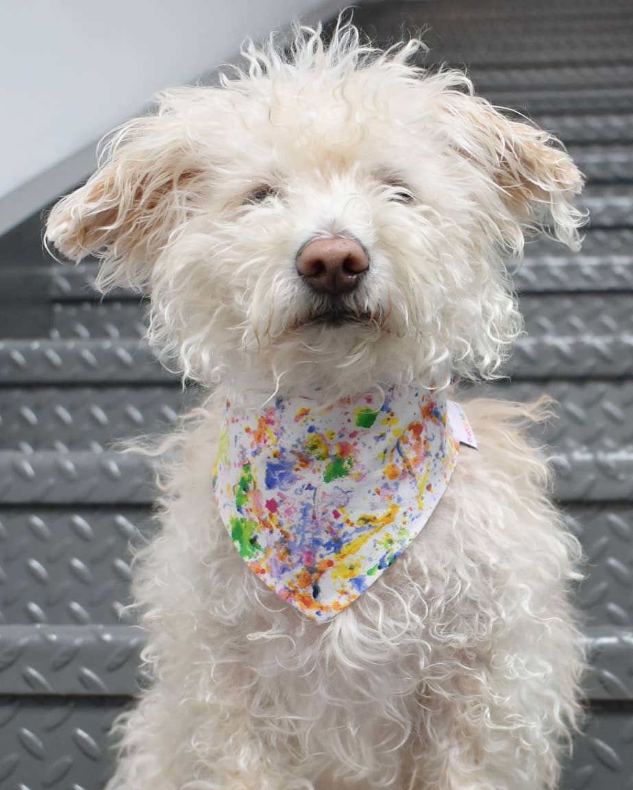 PRIDE BANDANAS (Options Available): STRIPES / LARGE