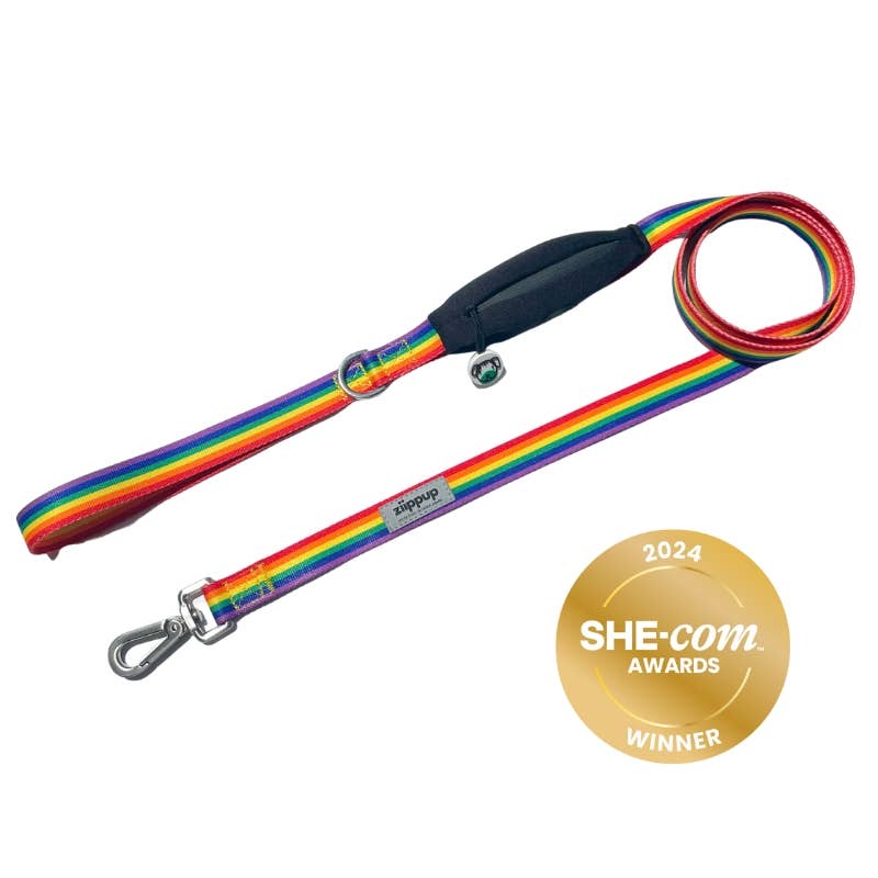 Rainbow Dog Leash with Built-in Poop Bag Holder