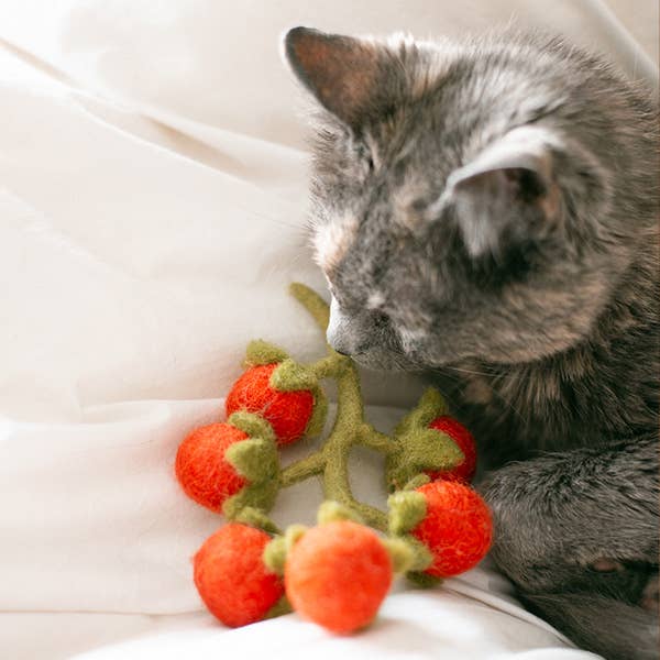 CHERRY TOMATO VINE Wool Dog & Cat Toy